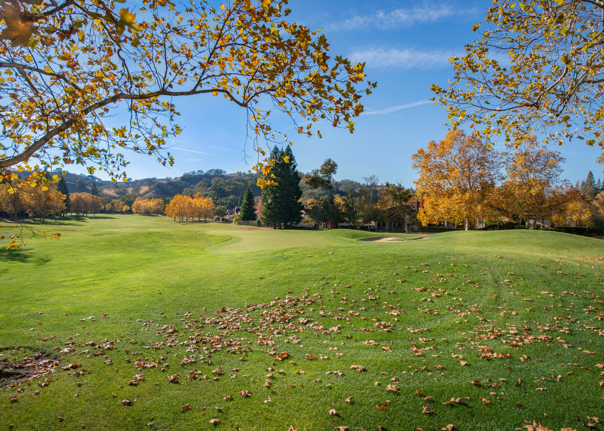 The Fall Classic